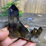 Crystal Citrine Raw Natural Beauty Smoke Quartz Gemstone Quartz Reiki Stone Beauty Minerals House Decoration Healing