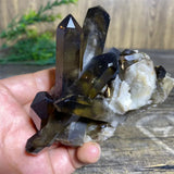 Crystal Citrine Raw Natural Beauty Smoke Quartz Gemstone Quartz Reiki Stone Beauty Minerals House Decoration Healing